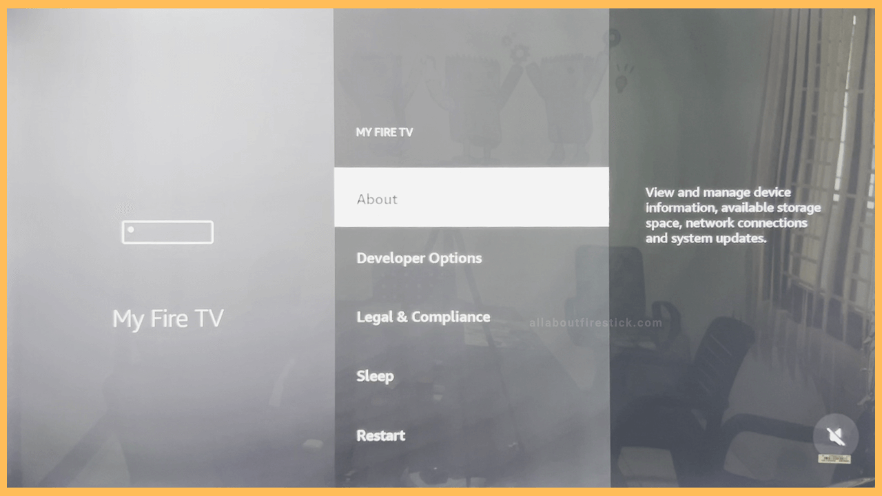Firestick IP Address- About