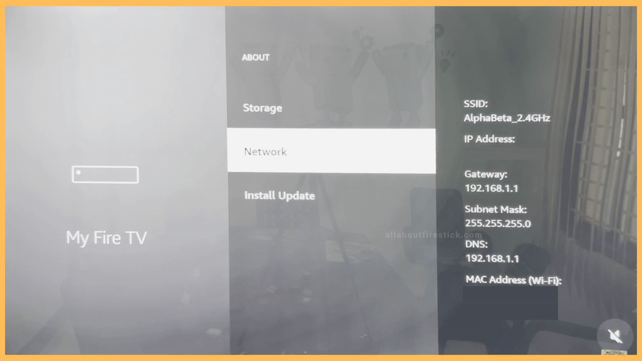 Firestick IP Address- Network