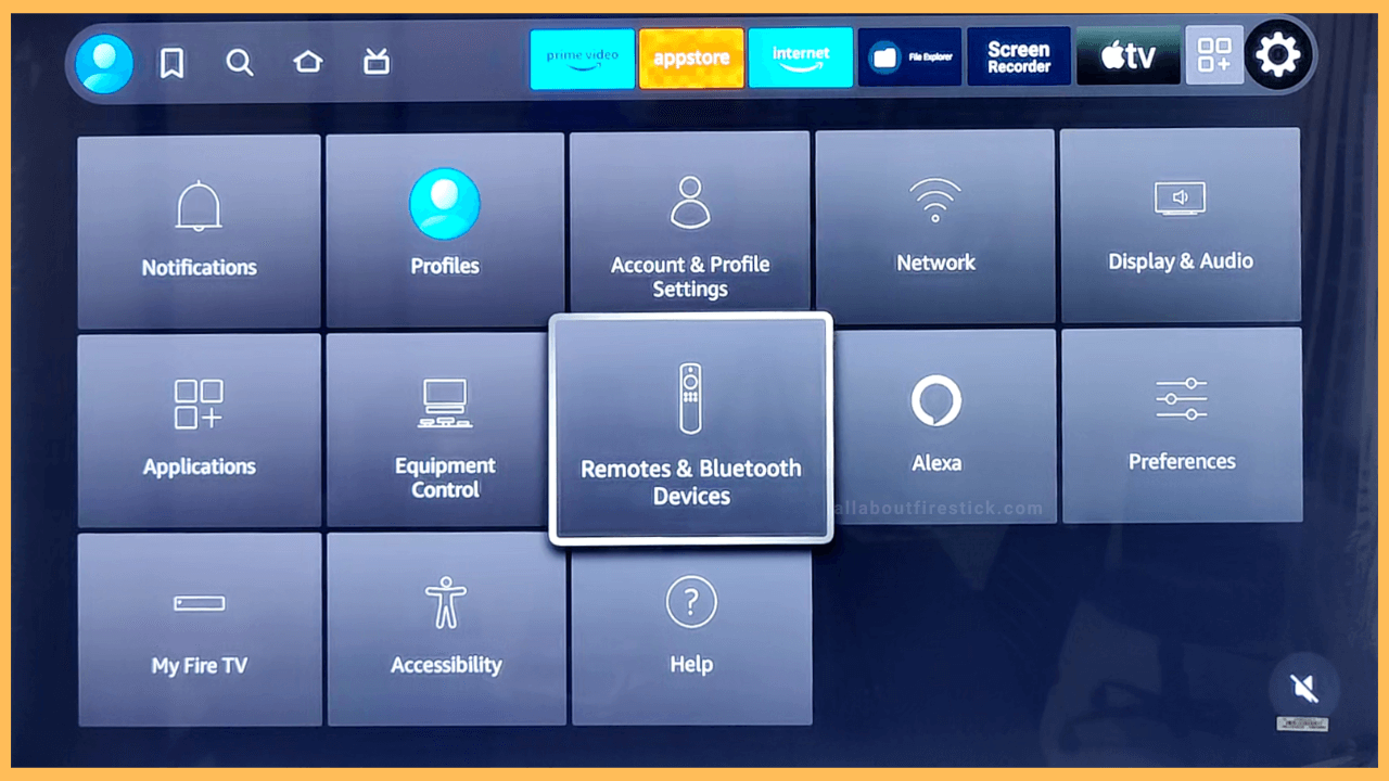 Remote and Bluetooth Devices