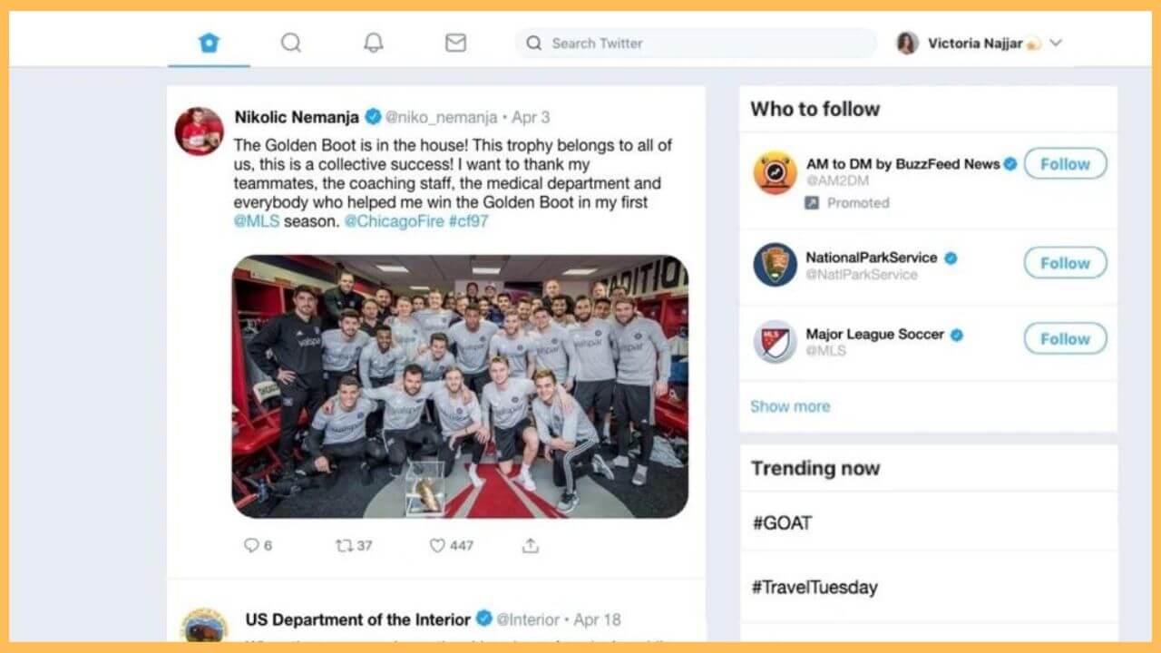 Twitter on Firestick