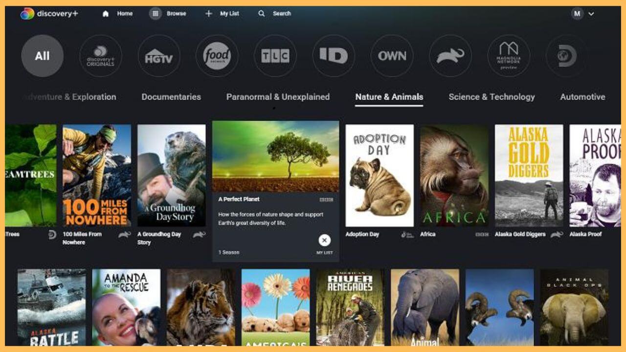 Discovery Plus on Firestick (1)