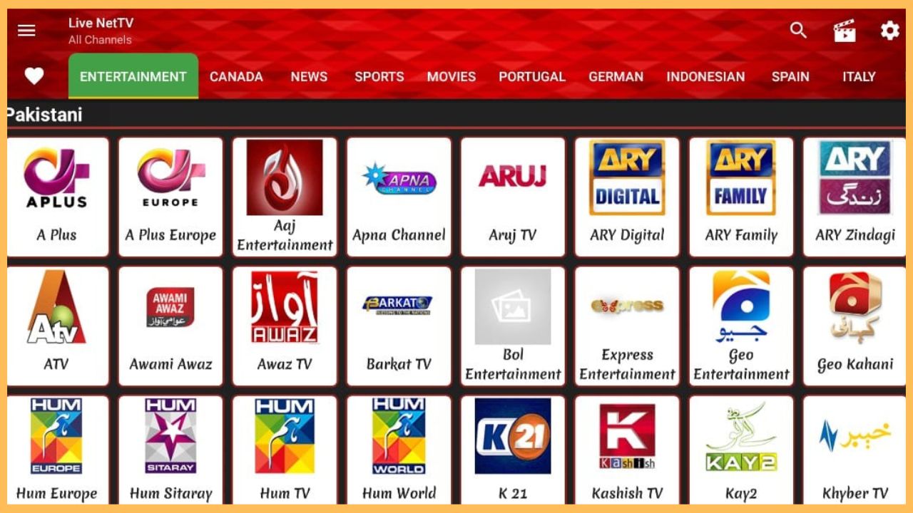 Live Net TV on Firestick