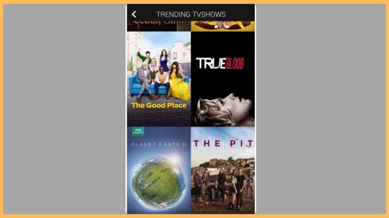 ZiniTevi on Firestick