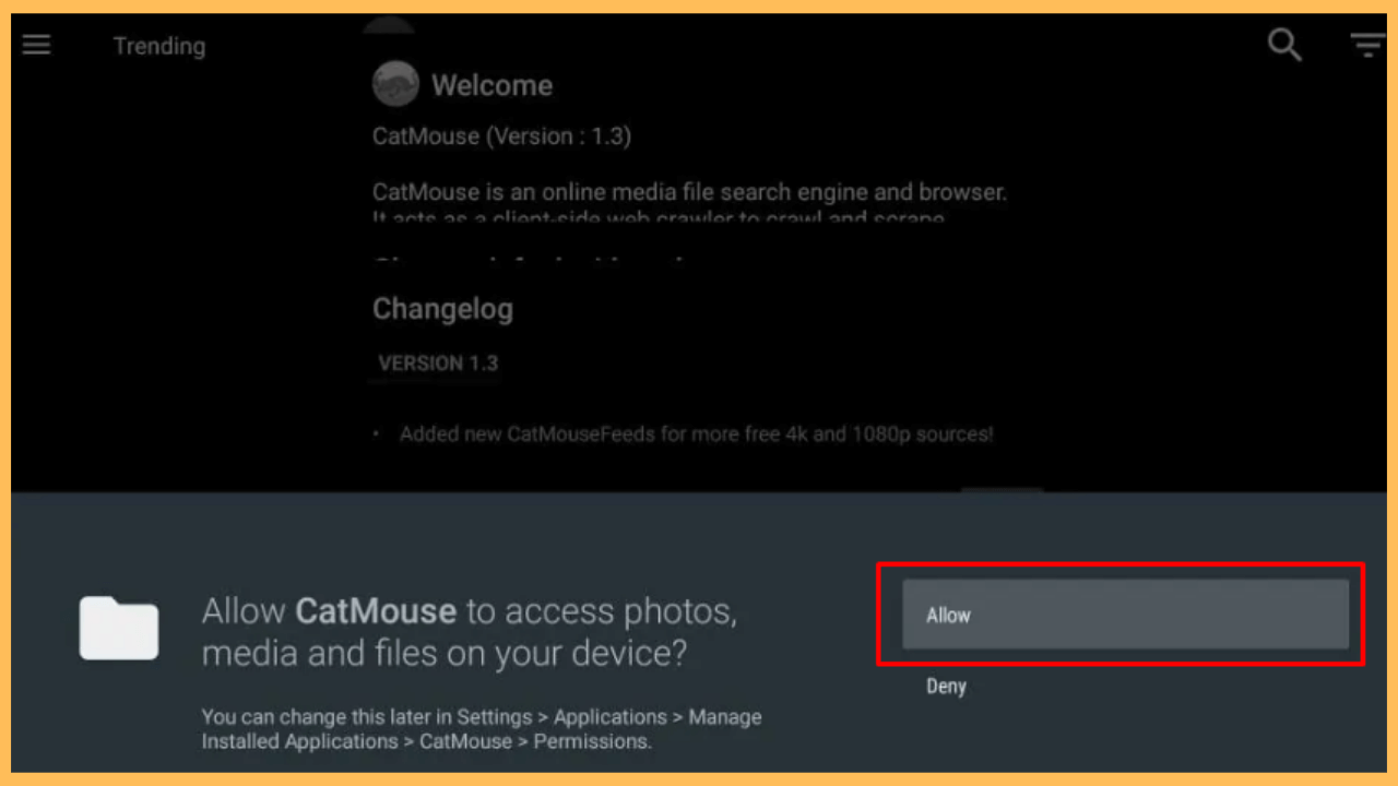 CatMouse APK on Firestick - Select Allow