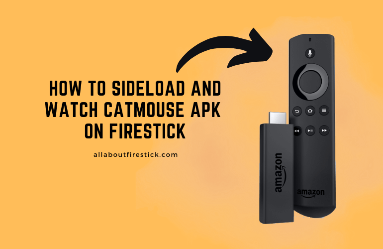 CatMouse APK on Firestick