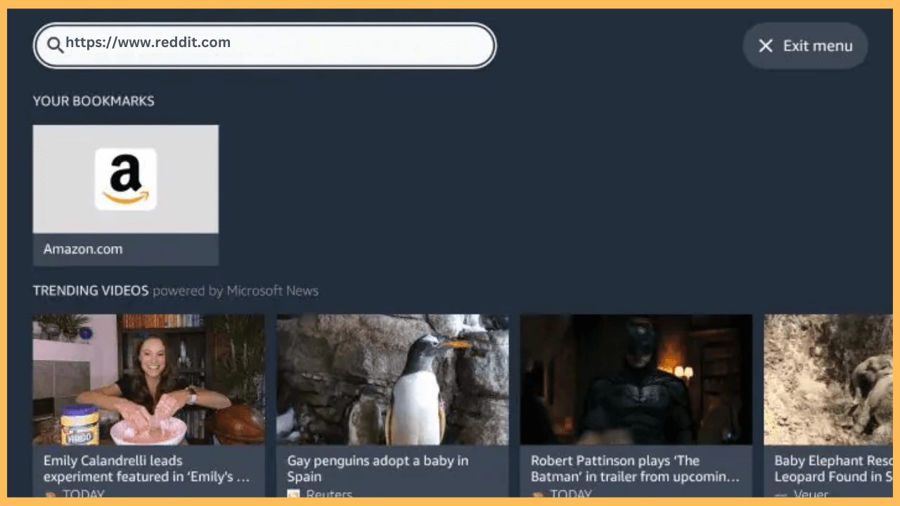 Reddit on Firestick - Visit the website