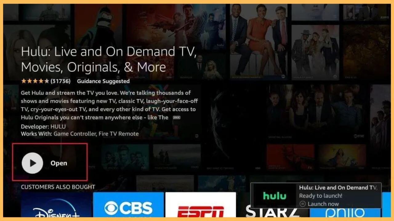 Click Download to install Hulu on Firestick