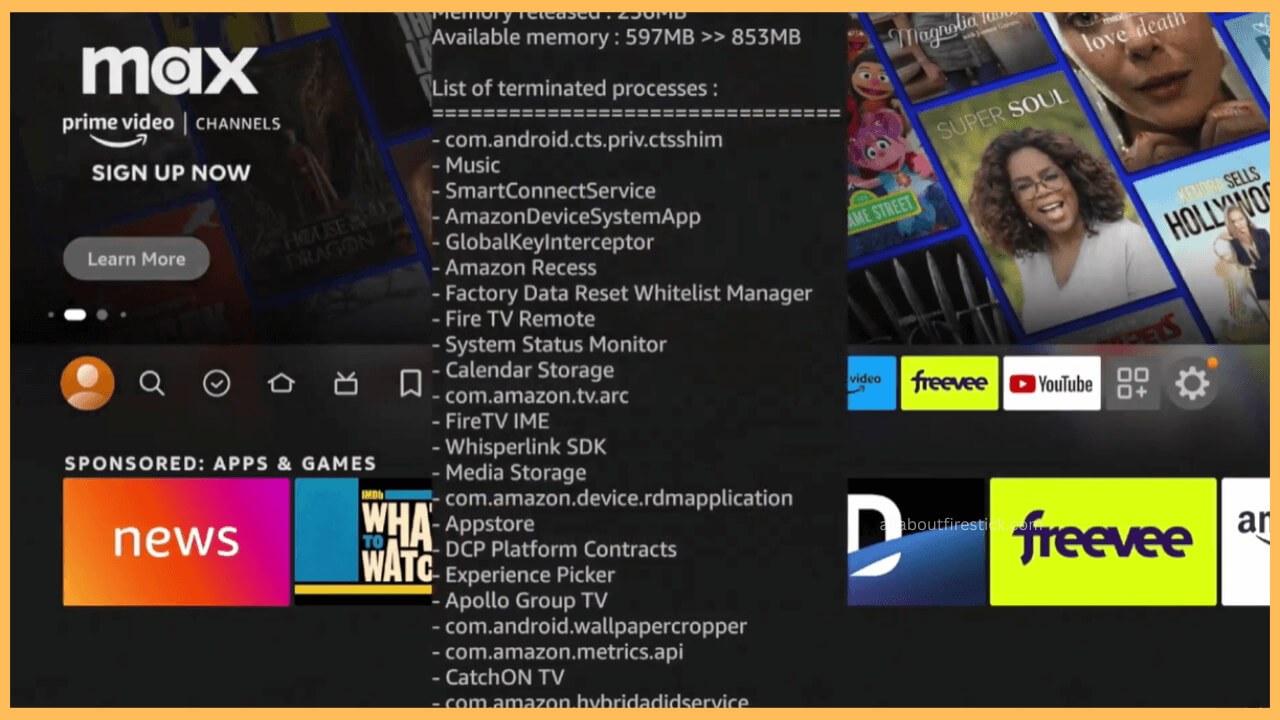 Use Task Killer on Firestick